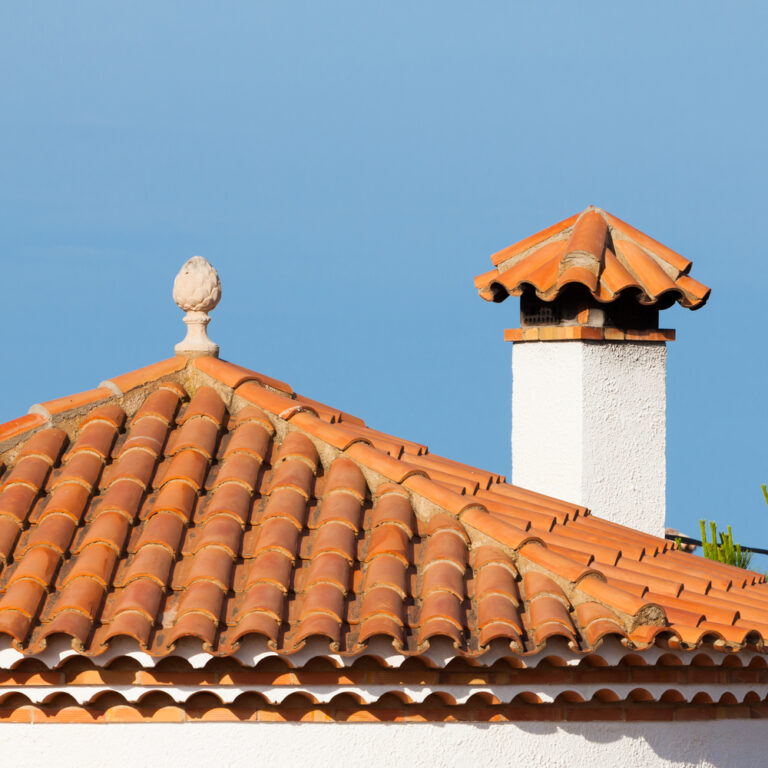 Cache-moineaux : intérêt, pose, prix et types